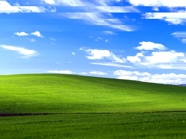 Image preview interrupted by sideways-displaced horizontal bands.