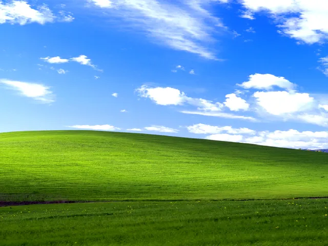 Image preview with thin horizontal strips shifted sideways.
