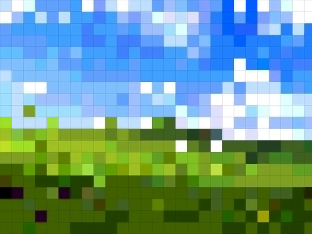 Image preview reduced to coarse blocks of flattened color.
