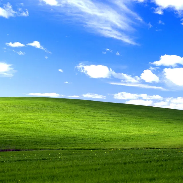 Image preview sheared sideways around a tear position.